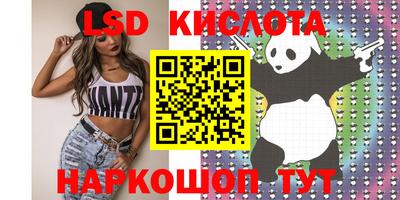 крисы Будённовск