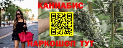 крисы Будённовск