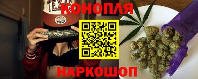 крисы Будённовск