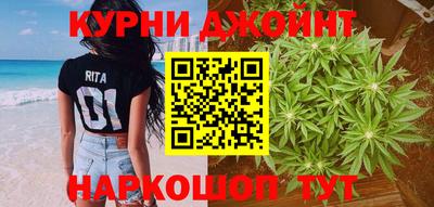 крисы Будённовск