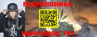 стаф Бузулук