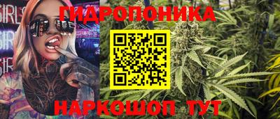 крисы Будённовск