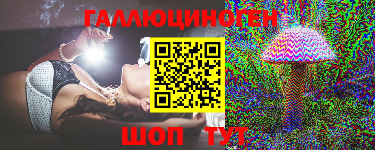 Карабулак  Галлюциногенные грибы Psilocybine cubensis  Вход с VPN  Псилоцибиновые грибы ЛСД 